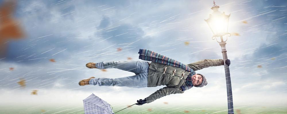 Verbazingwekkend! Ons kabinet probeert het weer te vangen…